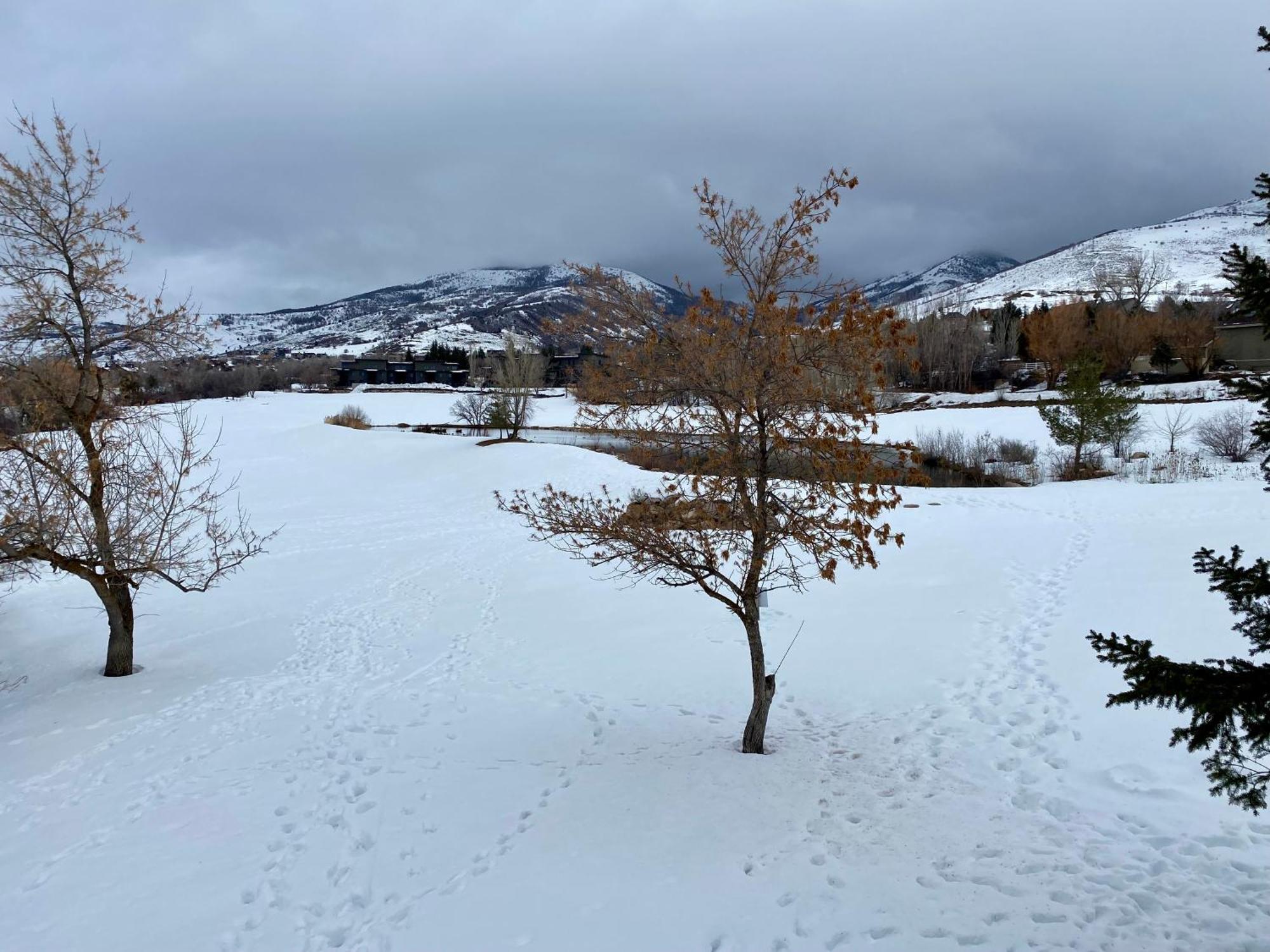 Wolf Creek Lodge Condo In Eden, Ut - Relaxing Mountain Retreat Экстерьер фото