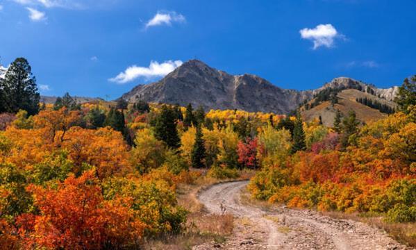 Wolf Creek Lodge Condo In Eden, Ut - Relaxing Mountain Retreat Экстерьер фото
