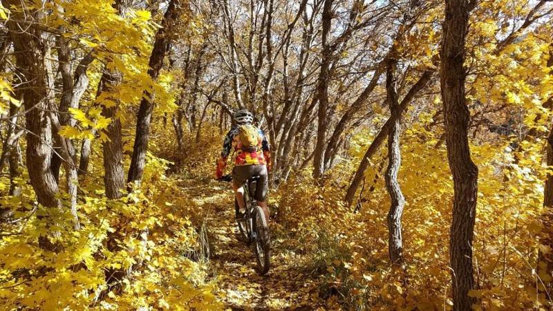 Wolf Creek Lodge Condo In Eden, Ut - Relaxing Mountain Retreat Экстерьер фото